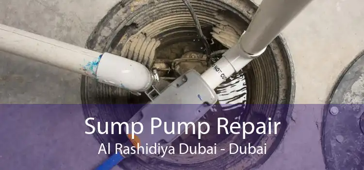 Sump Pump Repair Al Rashidiya Dubai - Dubai
