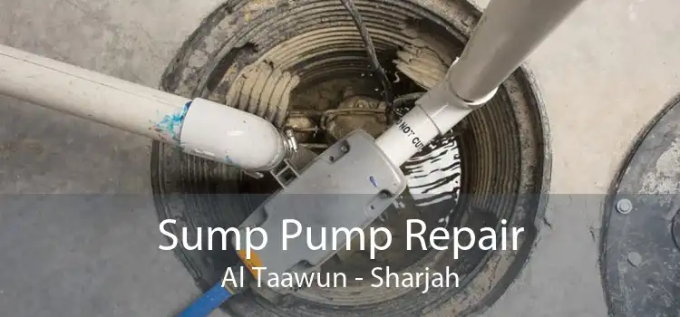 Sump Pump Repair Al Taawun - Sharjah