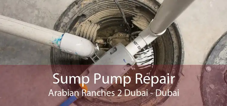 Sump Pump Repair Arabian Ranches 2 Dubai - Dubai