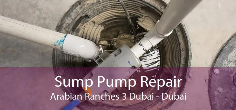 Sump Pump Repair Arabian Ranches 3 Dubai - Dubai