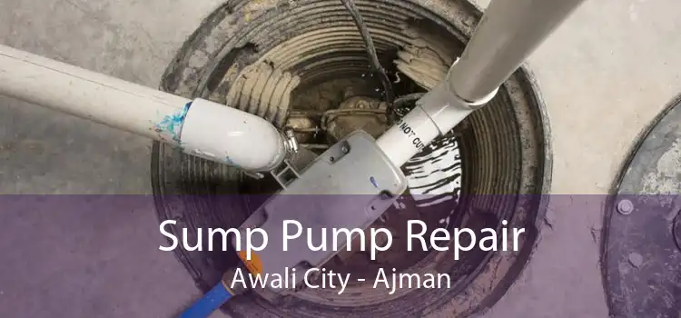 Sump Pump Repair Awali City - Ajman