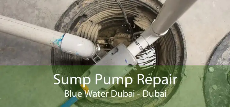 Sump Pump Repair Blue Water Dubai - Dubai