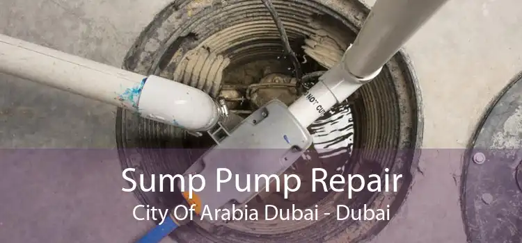 Sump Pump Repair City Of Arabia Dubai - Dubai