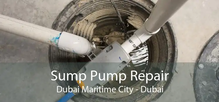 Sump Pump Repair Dubai Maritime City - Dubai