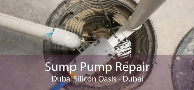 Sump Pump Repair Dubai Silicon Oasis - Dubai