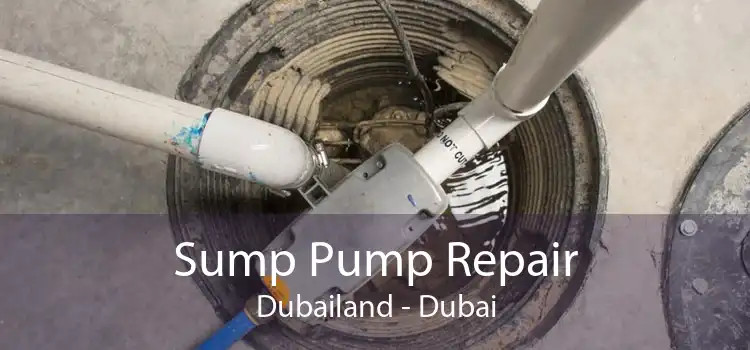 Sump Pump Repair Dubailand - Dubai