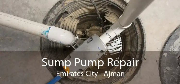 Sump Pump Repair Emirates City - Ajman