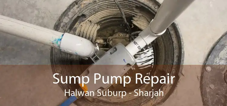 Sump Pump Repair Halwan Suburp - Sharjah