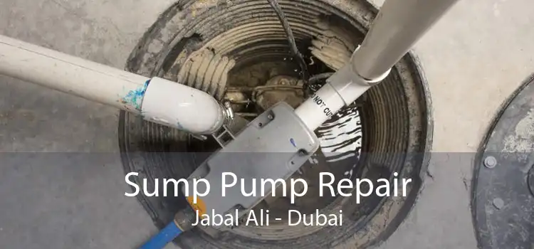Sump Pump Repair Jabal Ali - Dubai