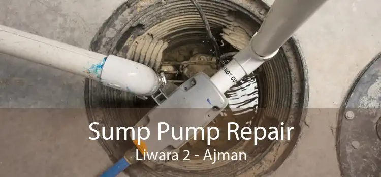 Sump Pump Repair Liwara 2 - Ajman