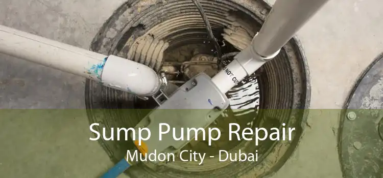 Sump Pump Repair Mudon City - Dubai