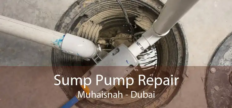 Sump Pump Repair Muhaisnah - Dubai
