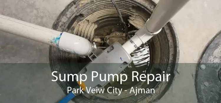 Sump Pump Repair Park Veiw City - Ajman