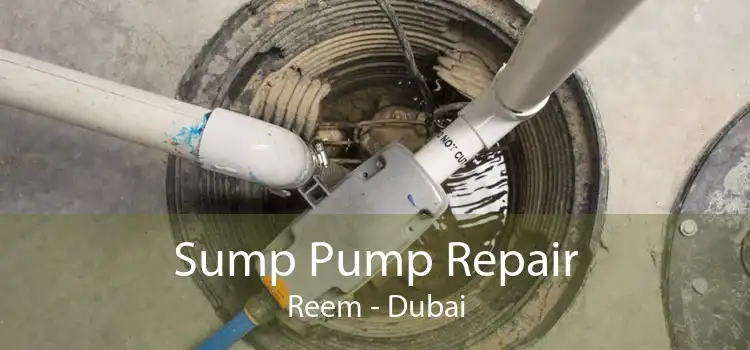 Sump Pump Repair Reem - Dubai