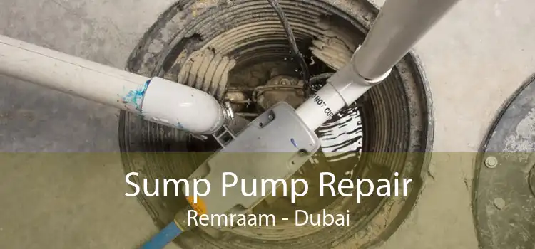 Sump Pump Repair Remraam - Dubai