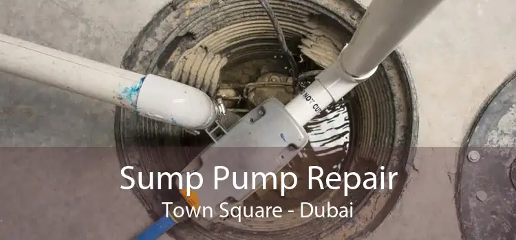 Sump Pump Repair Town Square - Dubai