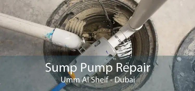 Sump Pump Repair Umm Al Sheif - Dubai