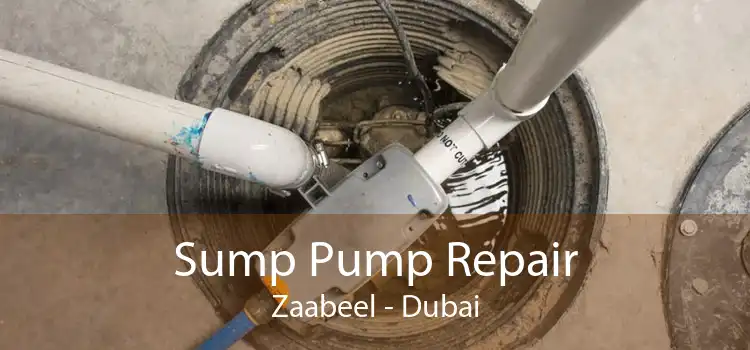 Sump Pump Repair Zaabeel - Dubai