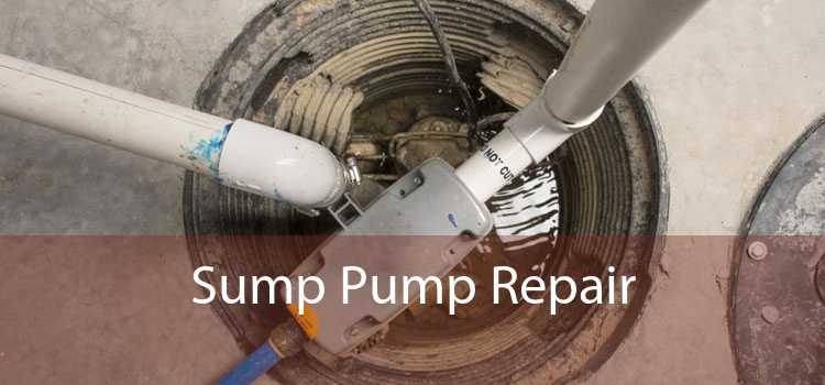Sump Pump Repair 