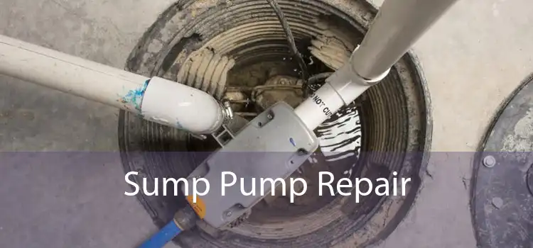 Sump Pump Repair 