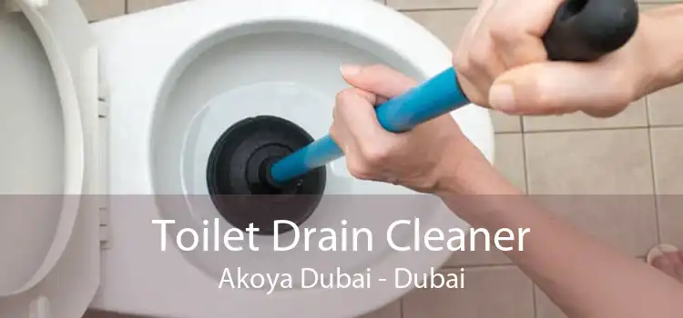 Toilet Drain Cleaner Akoya Dubai - Dubai