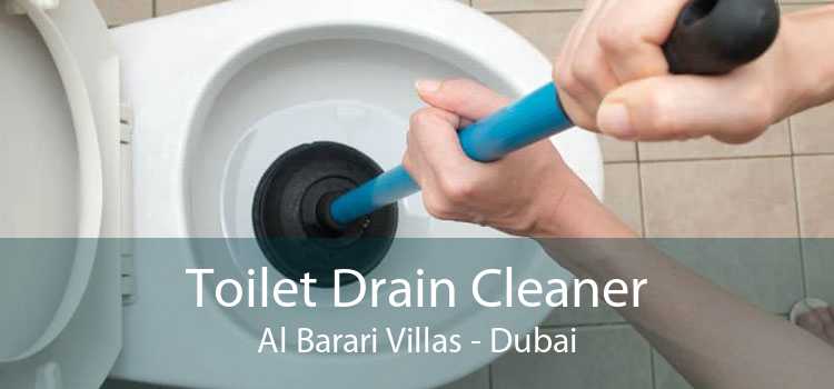 Toilet Drain Cleaner Al Barari Villas - Dubai