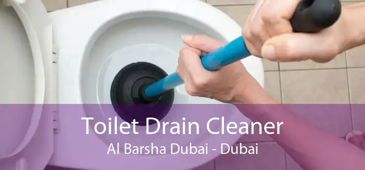 Toilet Drain Cleaner Al Barsha Dubai - Dubai