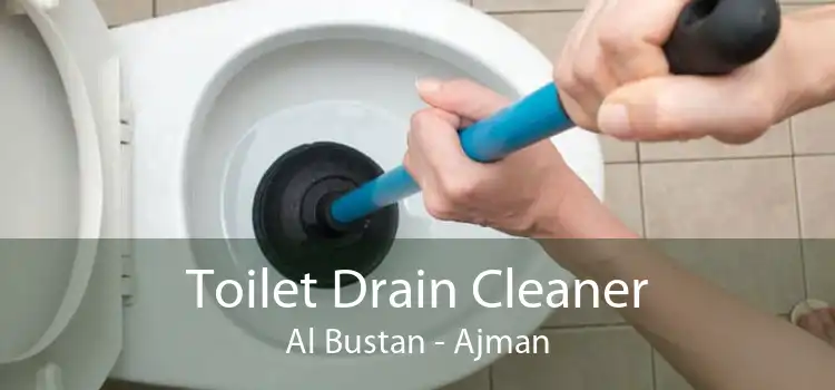 Toilet Drain Cleaner Al Bustan - Ajman