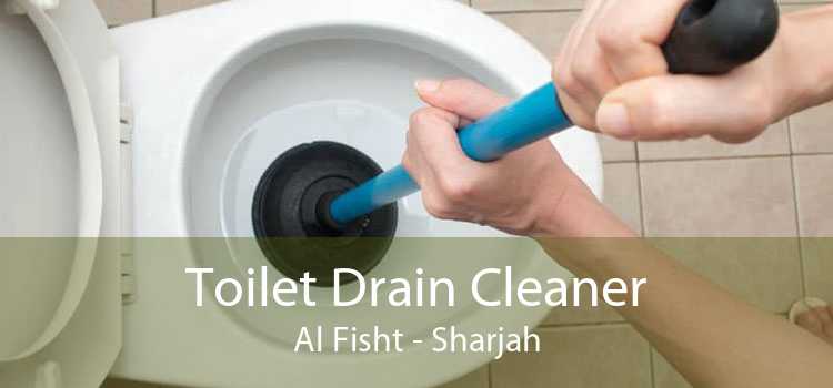 Toilet Drain Cleaner Al Fisht - Sharjah