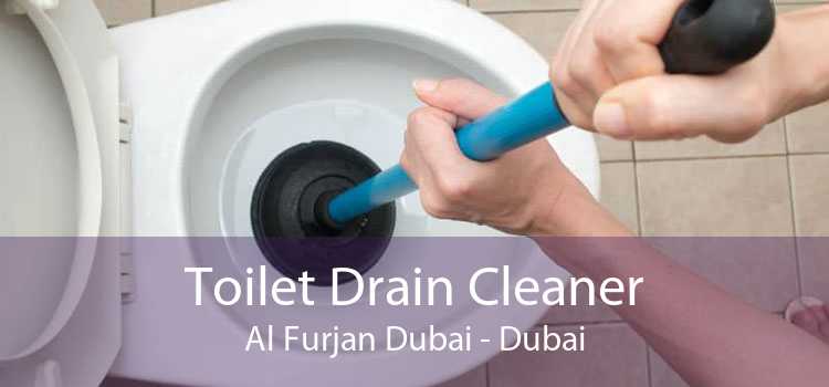 Toilet Drain Cleaner Al Furjan Dubai - Dubai