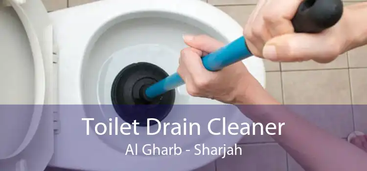 Toilet Drain Cleaner Al Gharb - Sharjah