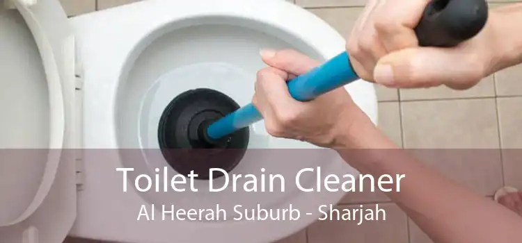 Toilet Drain Cleaner Al Heerah Suburb - Sharjah