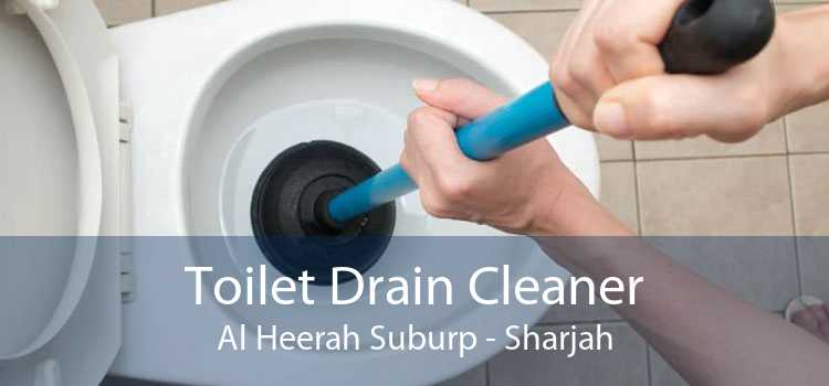Toilet Drain Cleaner Al Heerah Suburp - Sharjah