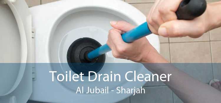 Toilet Drain Cleaner Al Jubail - Sharjah
