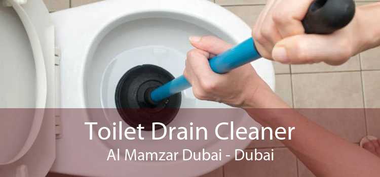 Toilet Drain Cleaner Al Mamzar Dubai - Dubai