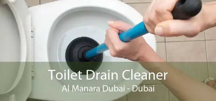 Toilet Drain Cleaner Al Manara Dubai - Dubai