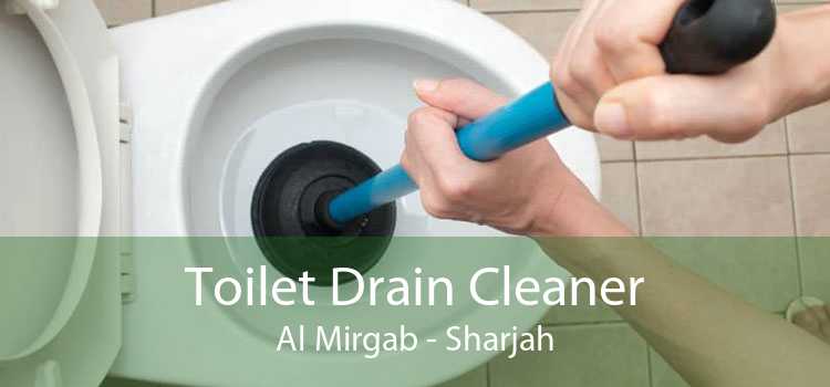 Toilet Drain Cleaner Al Mirgab - Sharjah