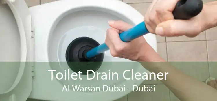 Toilet Drain Cleaner Al Warsan Dubai - Dubai