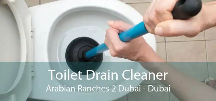Toilet Drain Cleaner Arabian Ranches 2 Dubai - Dubai