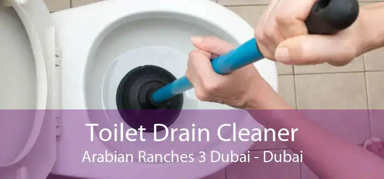 Toilet Drain Cleaner Arabian Ranches 3 Dubai - Dubai