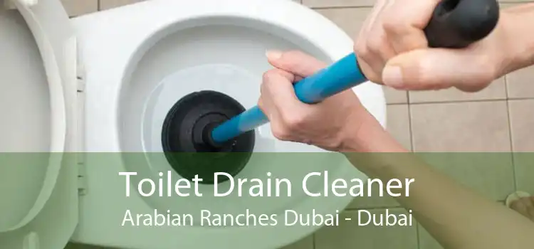Toilet Drain Cleaner Arabian Ranches Dubai - Dubai