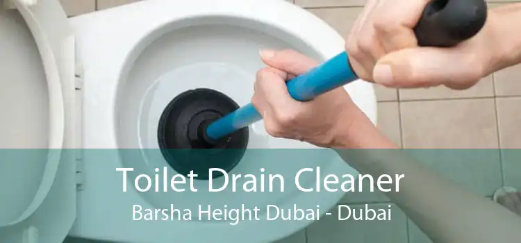 Toilet Drain Cleaner Barsha Height Dubai - Dubai