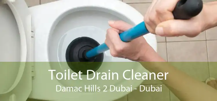 Toilet Drain Cleaner Damac Hills 2 Dubai - Dubai
