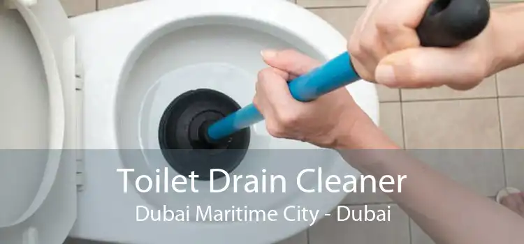 Toilet Drain Cleaner Dubai Maritime City - Dubai