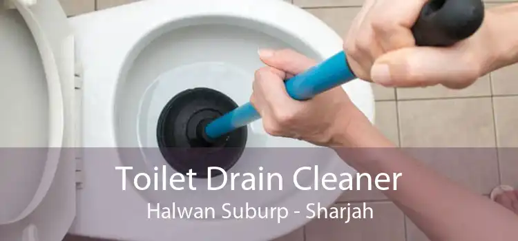 Toilet Drain Cleaner Halwan Suburp - Sharjah