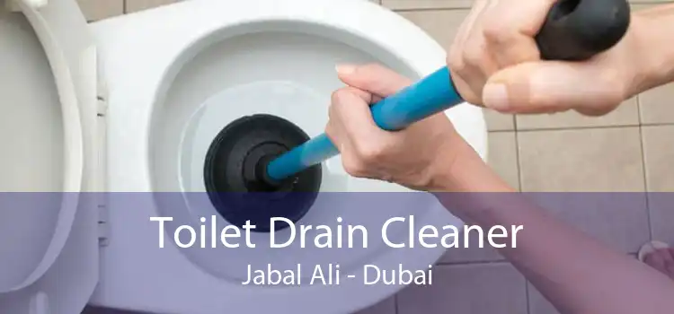 Toilet Drain Cleaner Jabal Ali - Dubai