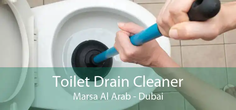 Toilet Drain Cleaner Marsa Al Arab - Dubai