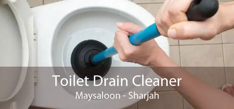 Toilet Drain Cleaner Maysaloon - Sharjah
