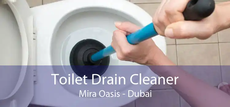 Toilet Drain Cleaner Mira Oasis - Dubai