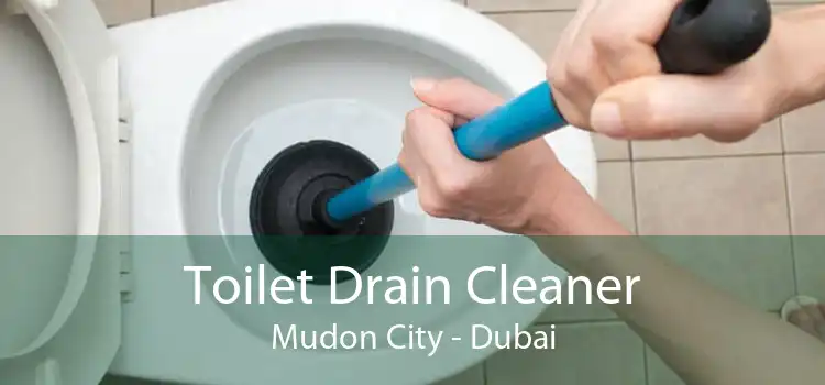 Toilet Drain Cleaner Mudon City - Dubai